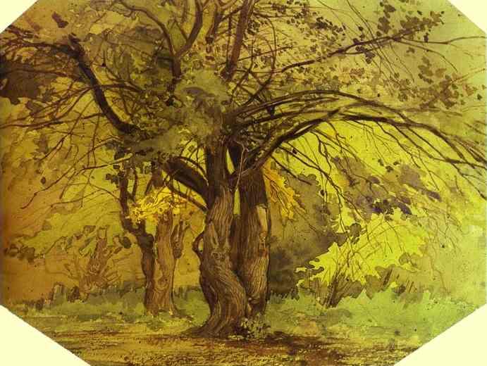 WikiOO.org - دایره المعارف هنرهای زیبا - نقاشی، آثار هنری Fyodor Alexandrovich Vasilyev - Trees