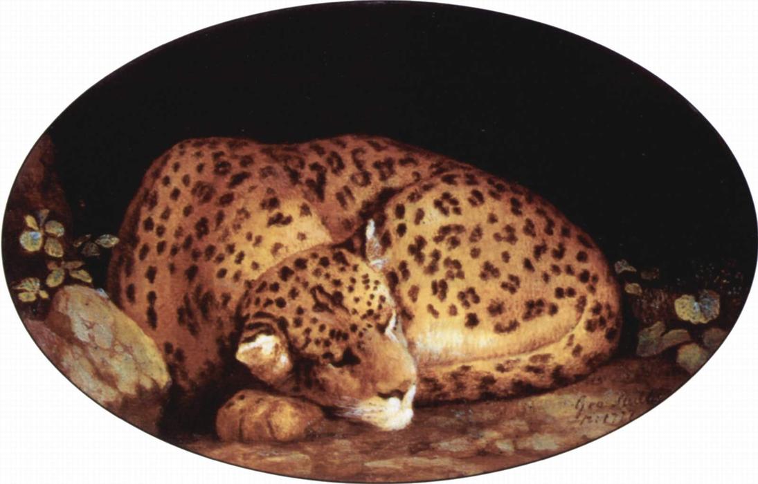 Wikioo.org - The Encyclopedia of Fine Arts - Painting, Artwork by George Stubbs - Sleeping Leopard