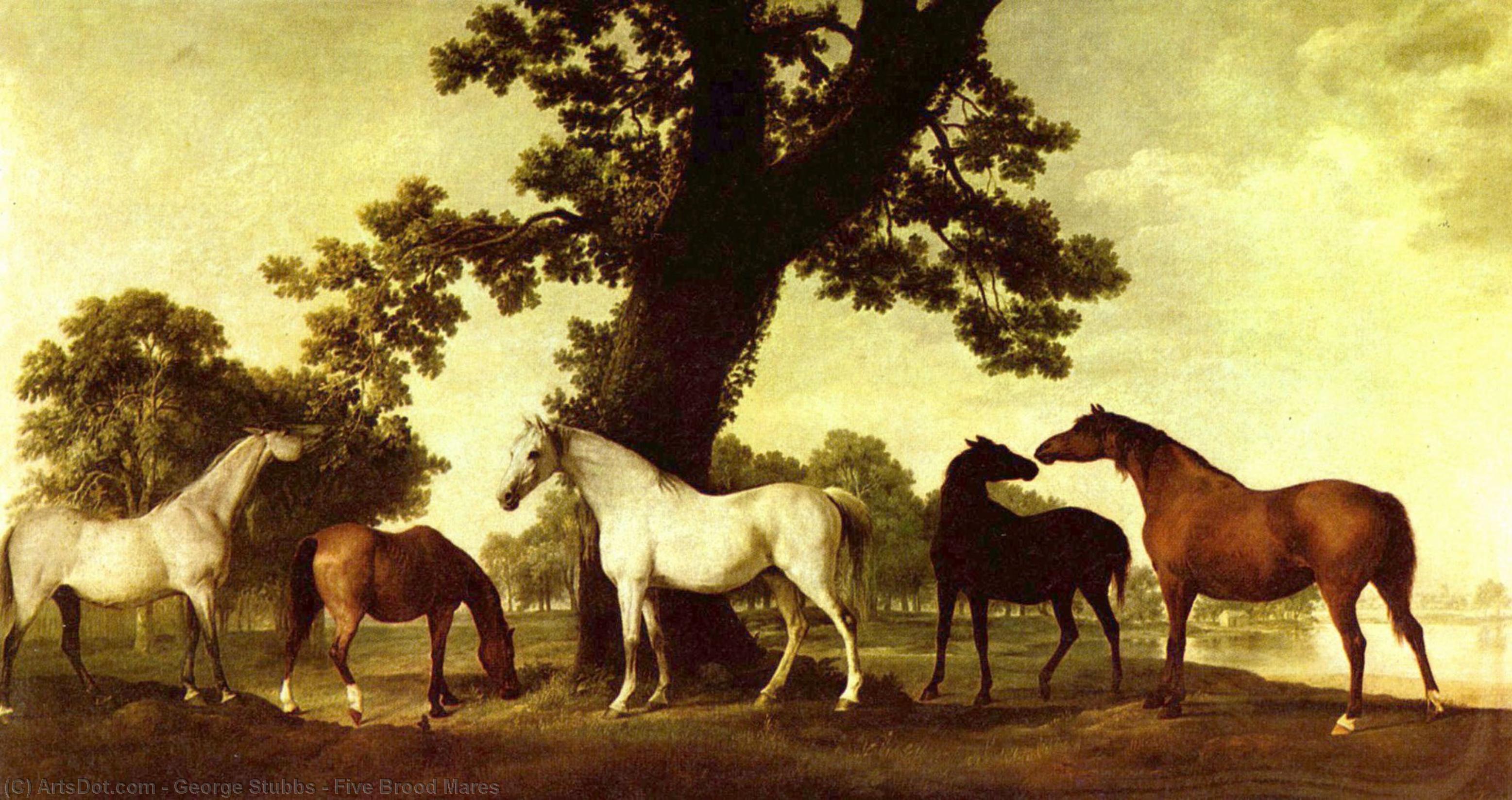 Wikioo.org - The Encyclopedia of Fine Arts - Painting, Artwork by George Stubbs - Five Brood Mares