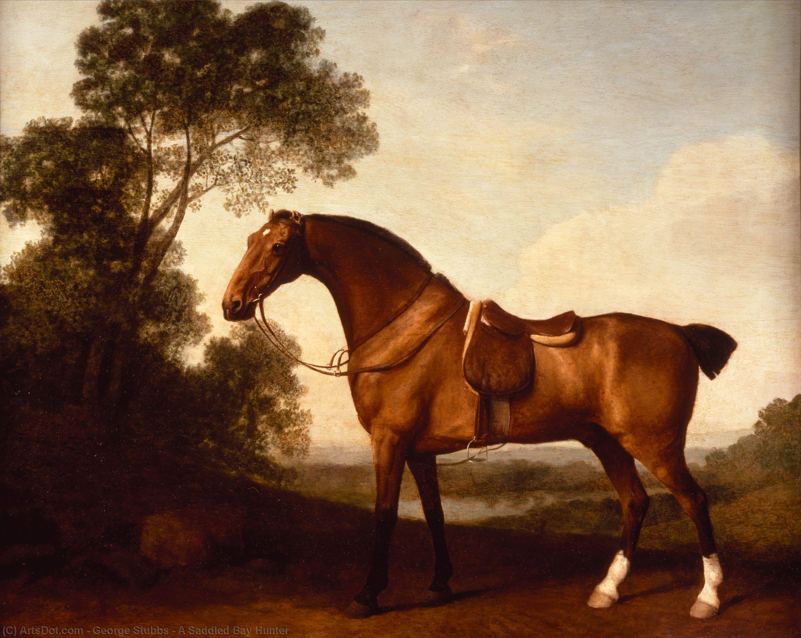 Wikioo.org – L'Encyclopédie des Beaux Arts - Peinture, Oeuvre de George Stubbs - Une baie Hunter Saddled