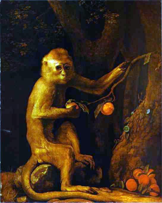 Wikoo.org - موسوعة الفنون الجميلة - اللوحة، العمل الفني George Stubbs - Portrait of a Monkey