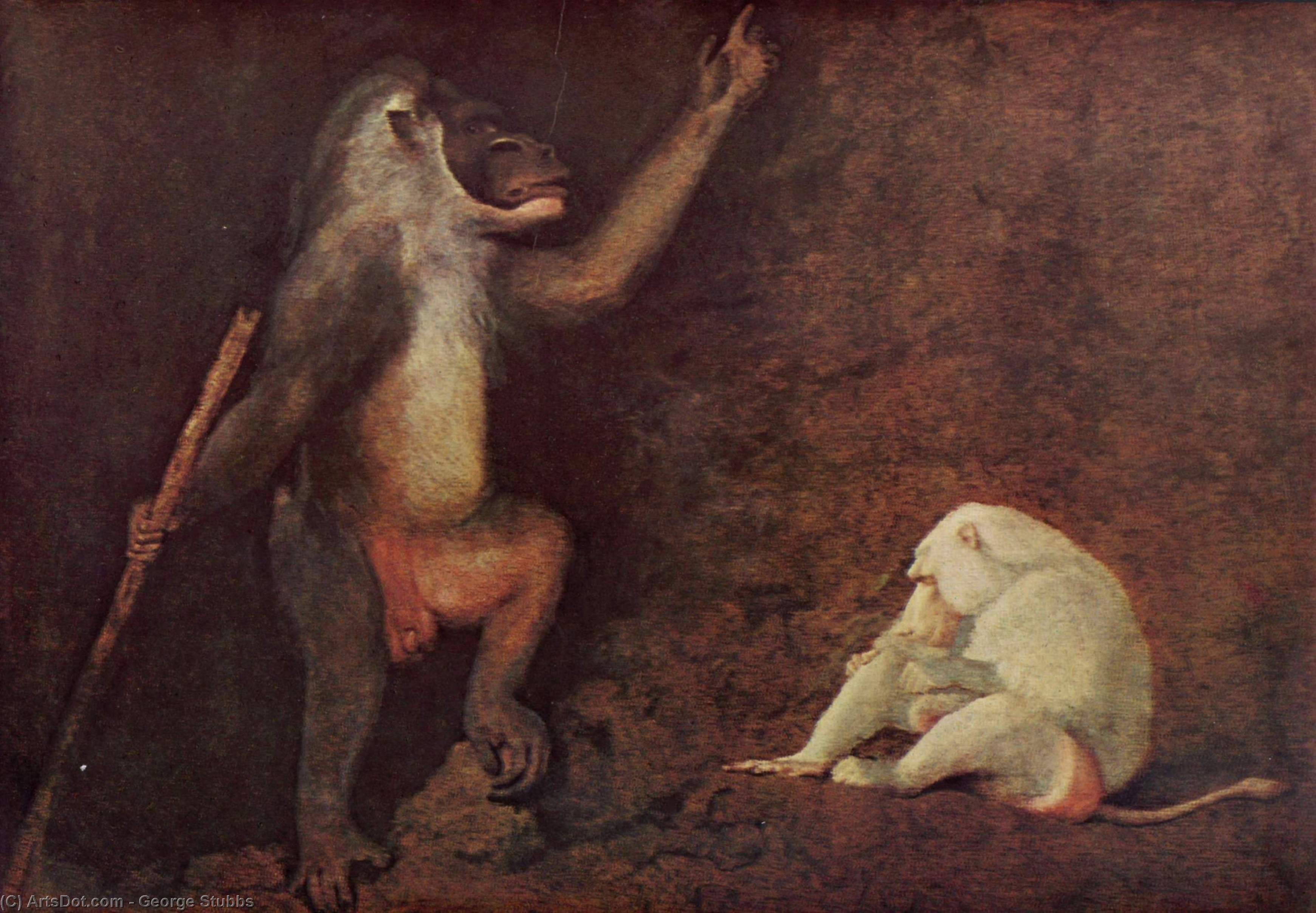 Wikioo.org - The Encyclopedia of Fine Arts - Painting, Artwork by George Stubbs - Pavian and Albino Makake