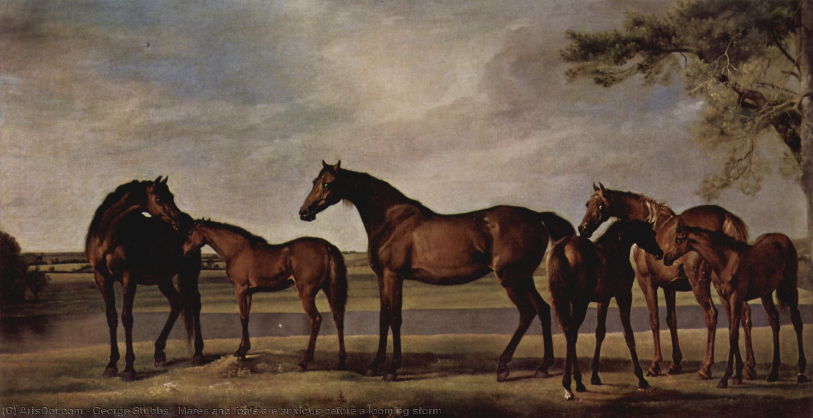 Wikioo.org - The Encyclopedia of Fine Arts - Painting, Artwork by George Stubbs - Mares and foals are anxious before a looming storm