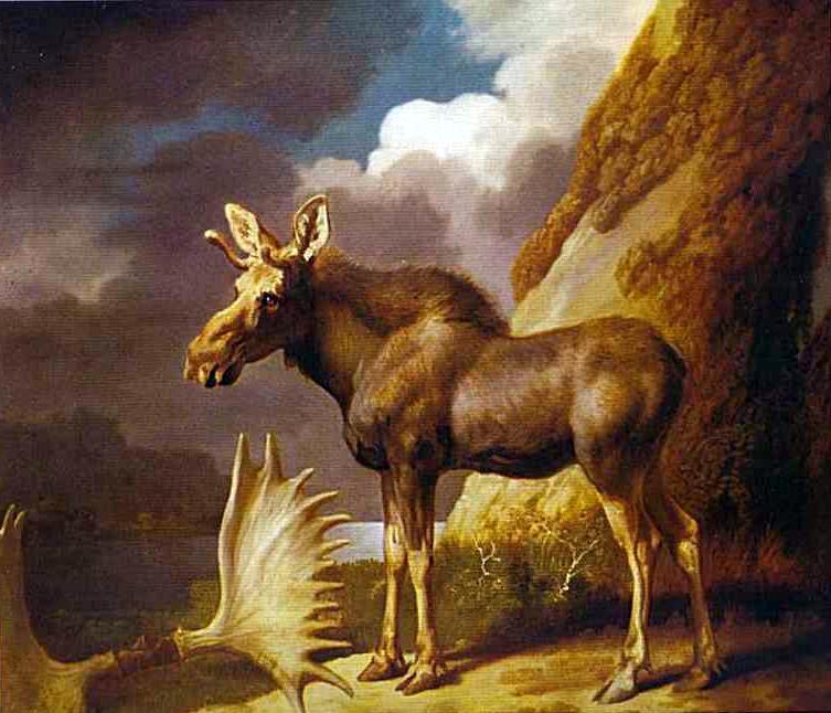 Wikioo.org – La Enciclopedia de las Bellas Artes - Pintura, Obras de arte de George Stubbs - El Moose