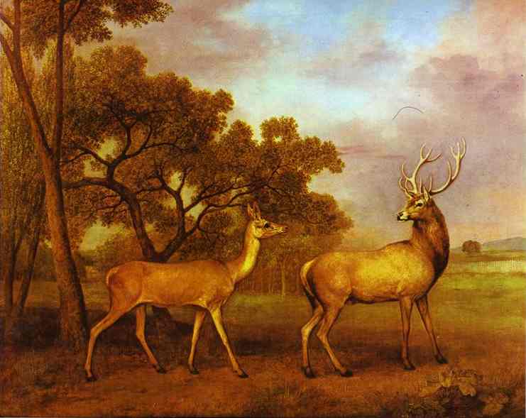 Wikioo.org - The Encyclopedia of Fine Arts - Painting, Artwork by George Stubbs - Red Deer Stag and Hind
