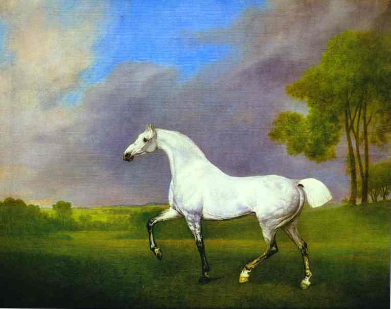 Wikioo.org - The Encyclopedia of Fine Arts - Painting, Artwork by George Stubbs - A Grey Horse