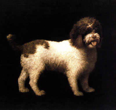 Wikioo.org - The Encyclopedia of Fine Arts - Painting, Artwork by George Stubbs - A Water Spaniel