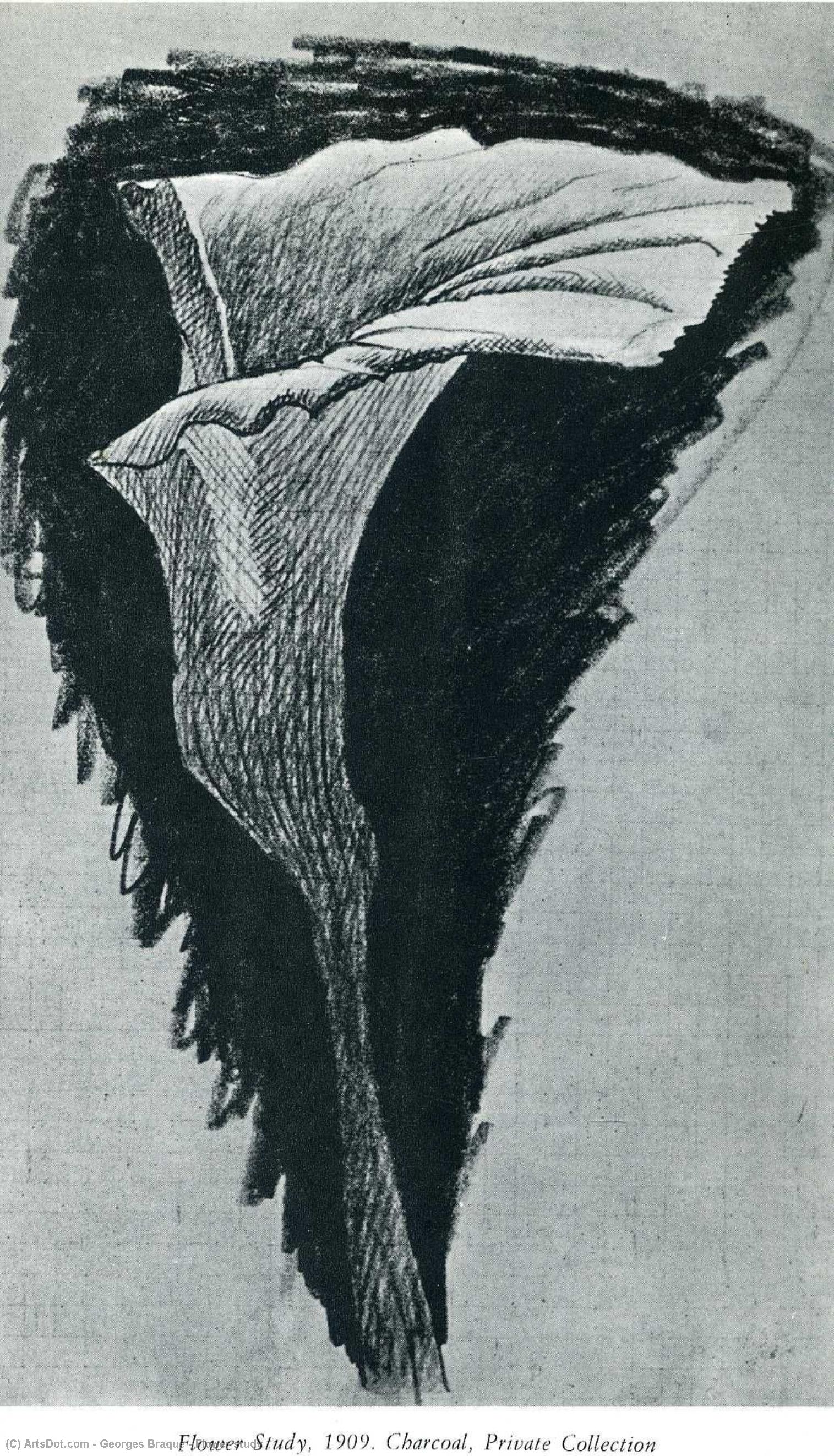 Wikioo.org - Bách khoa toàn thư về mỹ thuật - Vẽ tranh, Tác phẩm nghệ thuật Georges Braque - Flower study