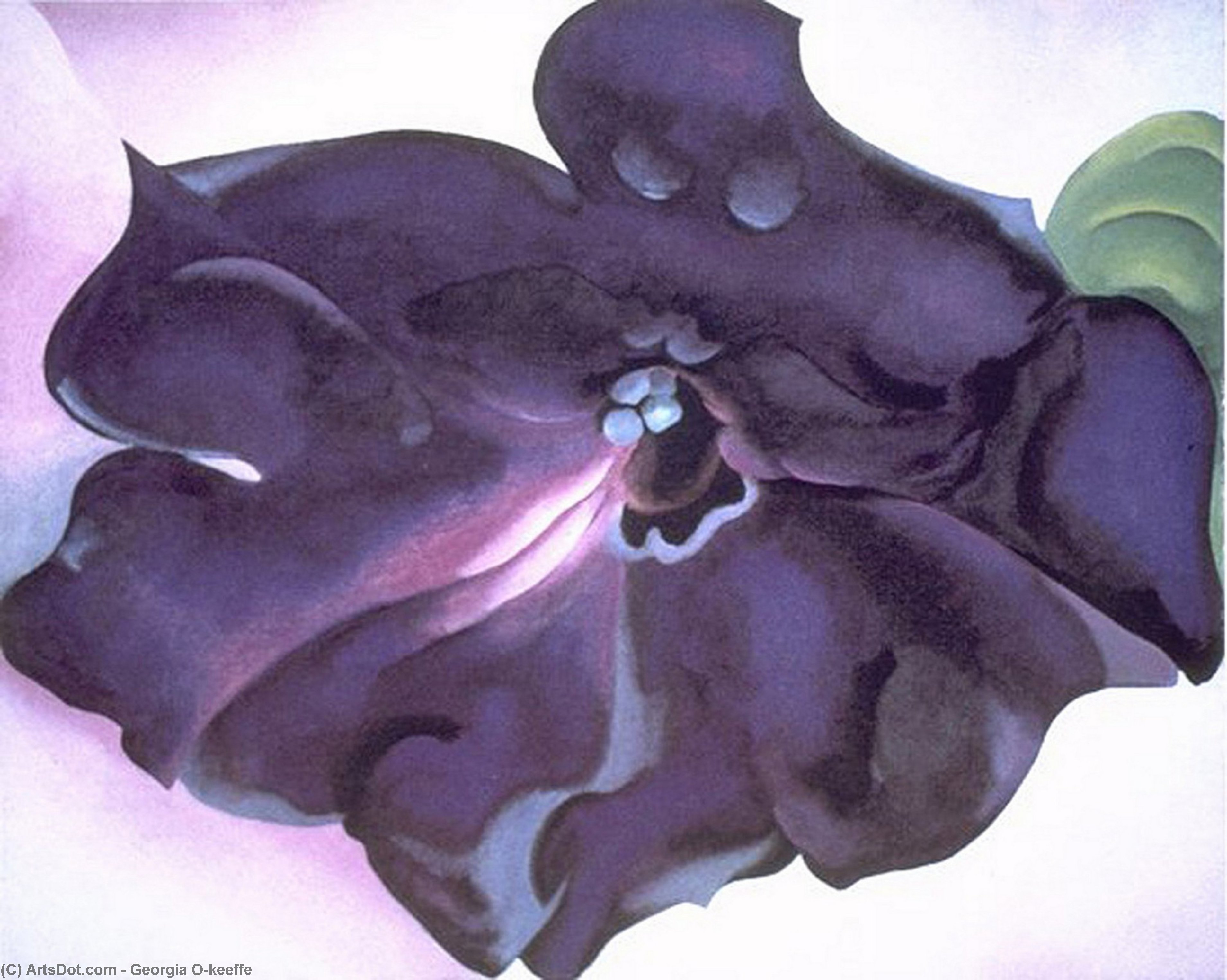 WikiOO.org - Encyclopedia of Fine Arts - Maľba, Artwork Georgia Totto O'keeffe - Petunia