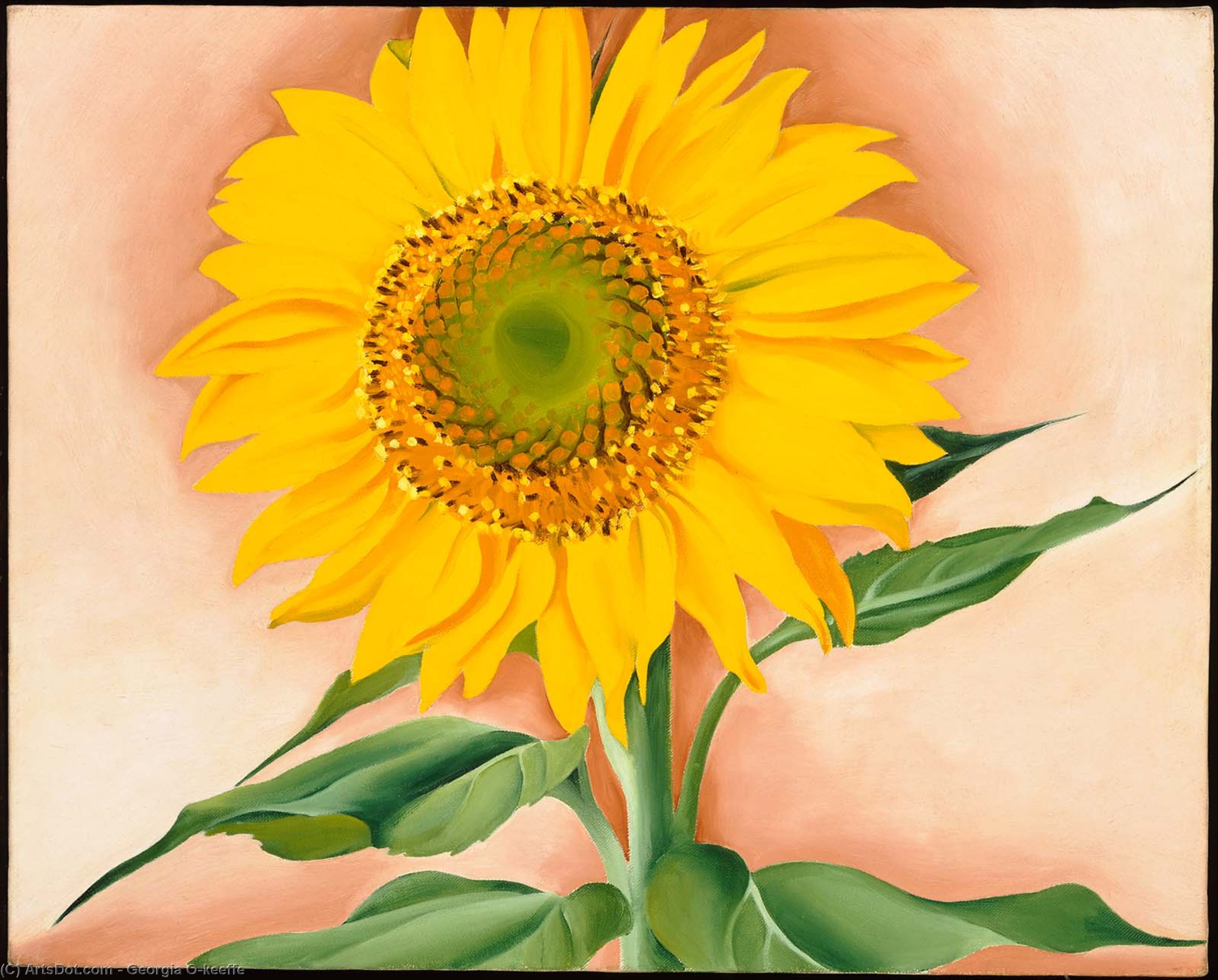 Wikioo.org - สารานุกรมวิจิตรศิลป์ - จิตรกรรม Georgia Totto O'keeffe - A Sunflower from Maggie
