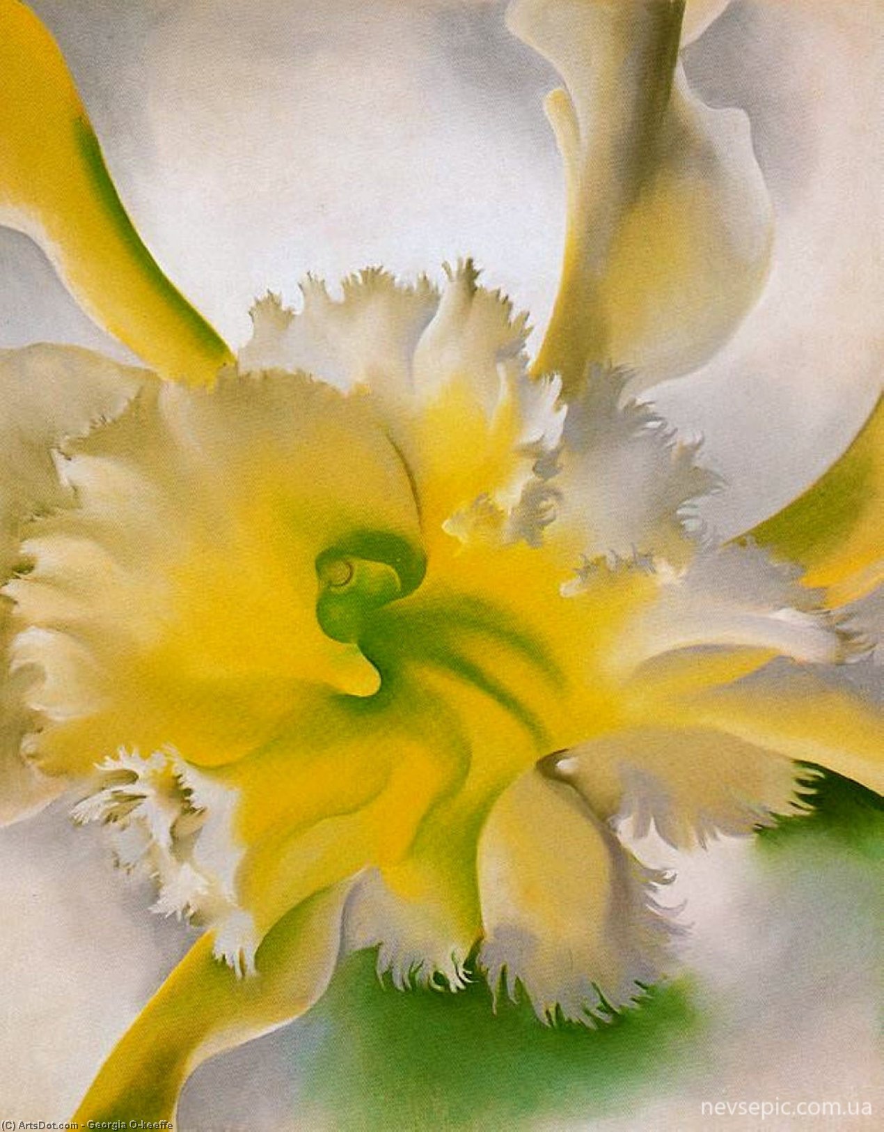 Wikioo.org – La Enciclopedia de las Bellas Artes - Pintura, Obras de arte de Georgia Totto O'keeffe - Una Orquídea