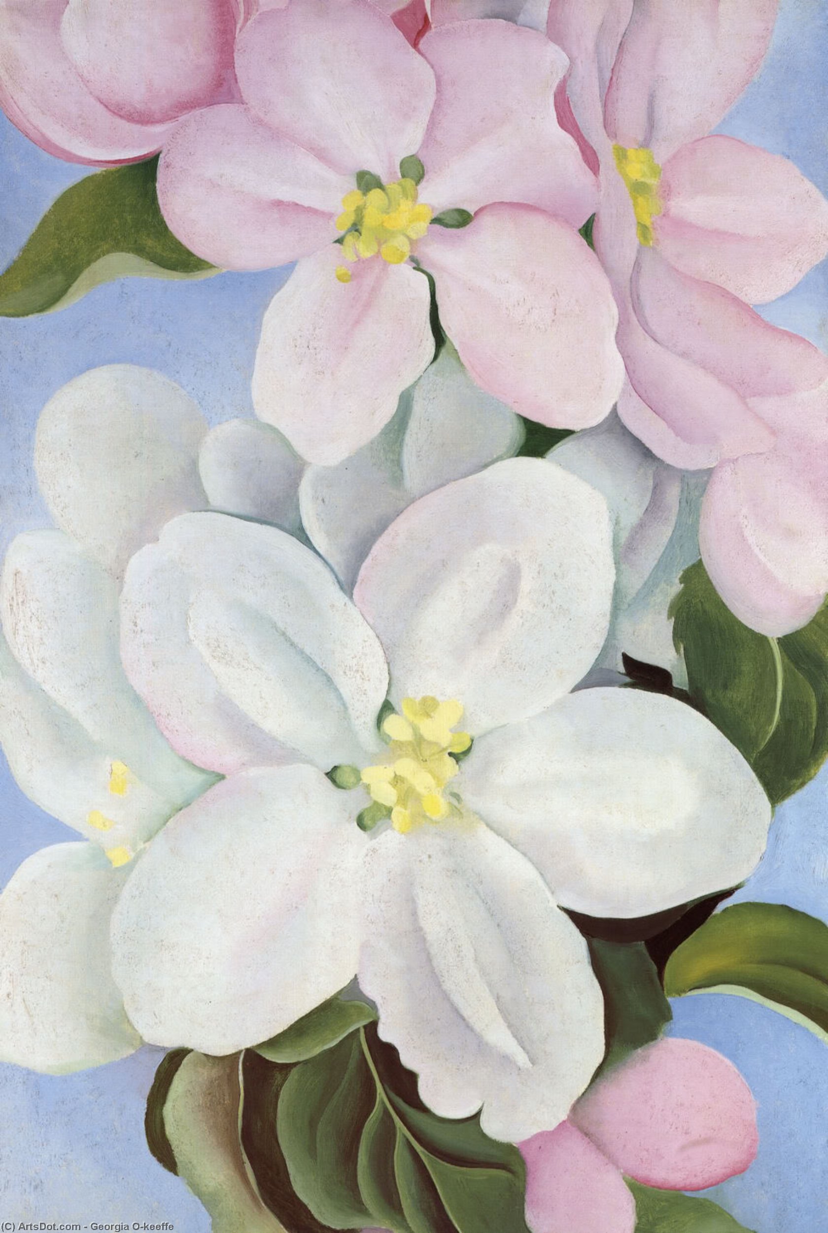 WikiOO.org - Encyclopedia of Fine Arts - Maľba, Artwork Georgia Totto O'keeffe - Apple Blossom