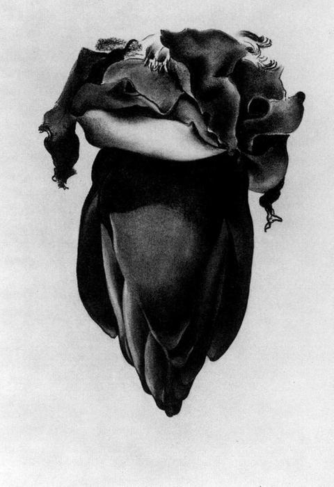 WikiOO.org - Güzel Sanatlar Ansiklopedisi - Resim, Resimler Georgia Totto O'keeffe - Banana Flower