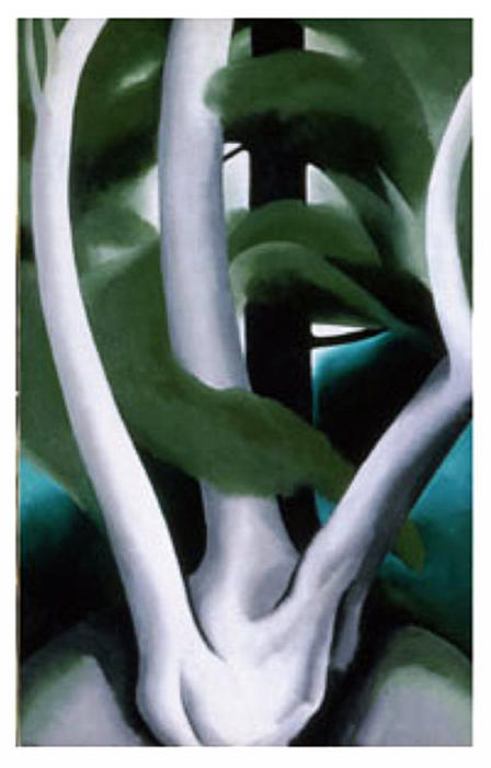 WikiOO.org - Encyclopedia of Fine Arts - Schilderen, Artwork Georgia Totto O'keeffe - Birch and Pine Tree No. 1