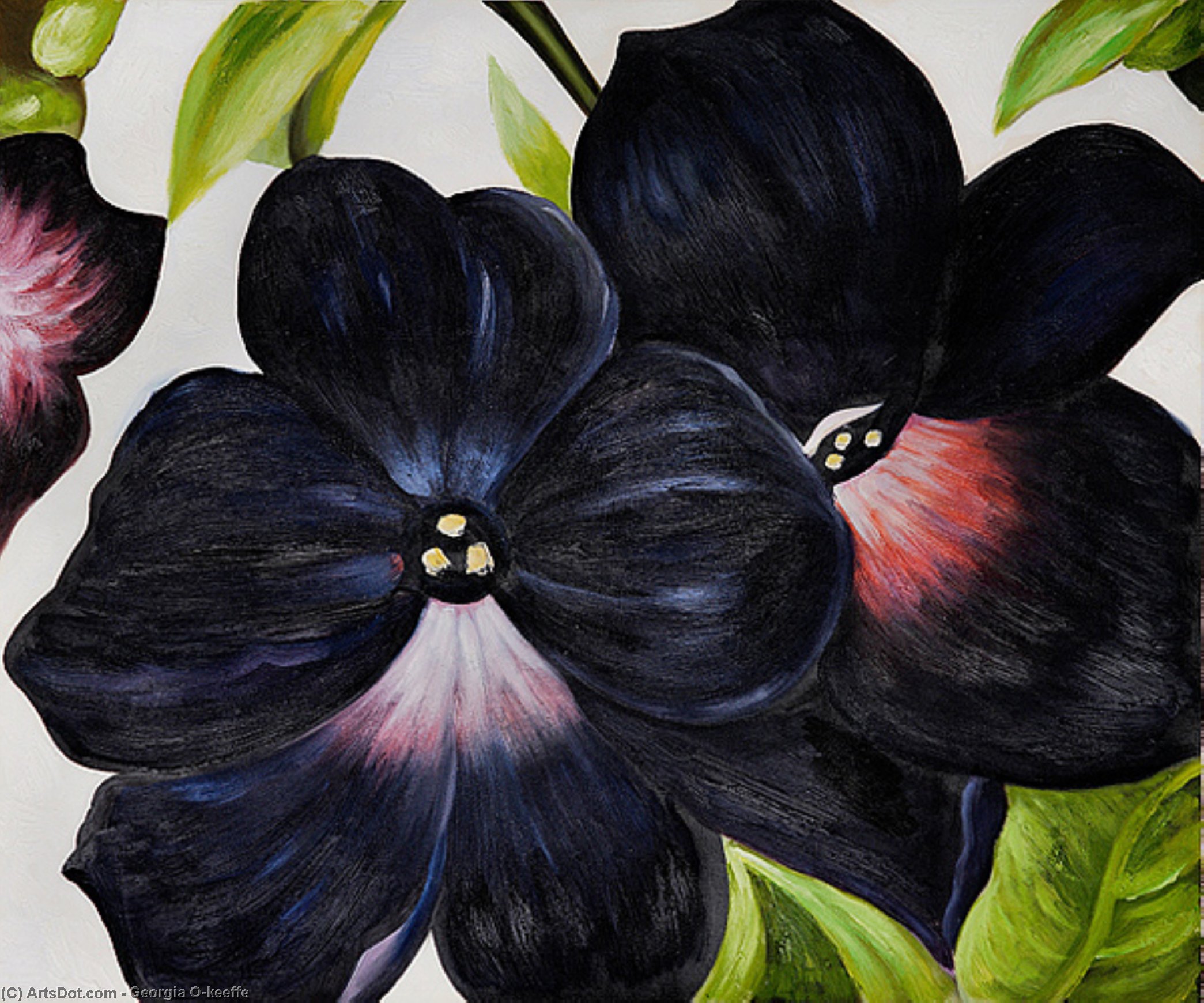Wikioo.org - สารานุกรมวิจิตรศิลป์ - จิตรกรรม Georgia Totto O'keeffe - Black and Purple Petunias