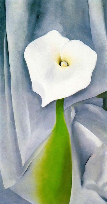 WikiOO.org - Encyclopedia of Fine Arts - Maľba, Artwork Georgia Totto O'keeffe - Calla Lily on Grey
