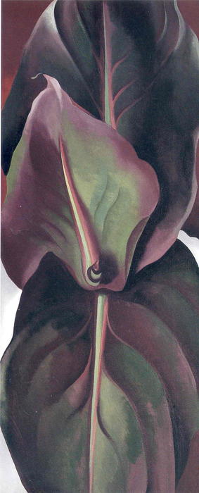 WikiOO.org - Encyclopedia of Fine Arts - Maľba, Artwork Georgia Totto O'keeffe - Canna Leaves
