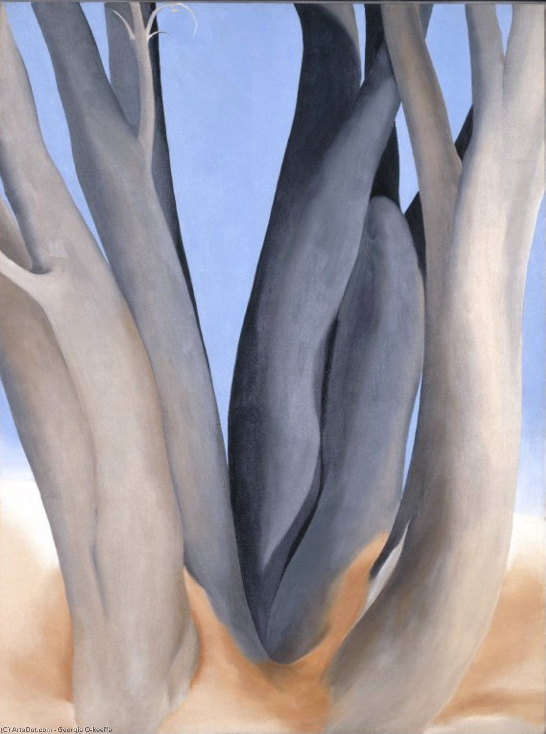 Wikioo.org - The Encyclopedia of Fine Arts - Painting, Artwork by Georgia Totto O'keeffe - Dark Tree Trunks