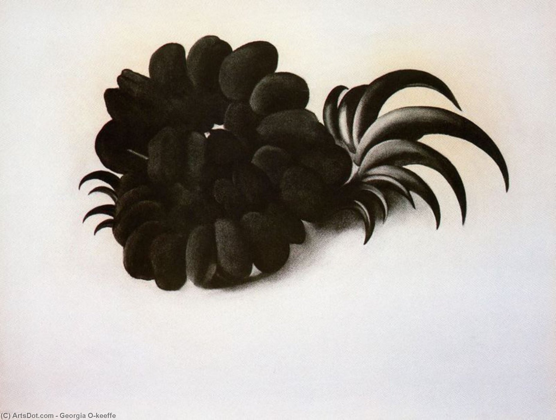 WikiOO.org - Encyclopedia of Fine Arts - Maľba, Artwork Georgia Totto O'keeffe - Eagle Claw and Bean Necklace
