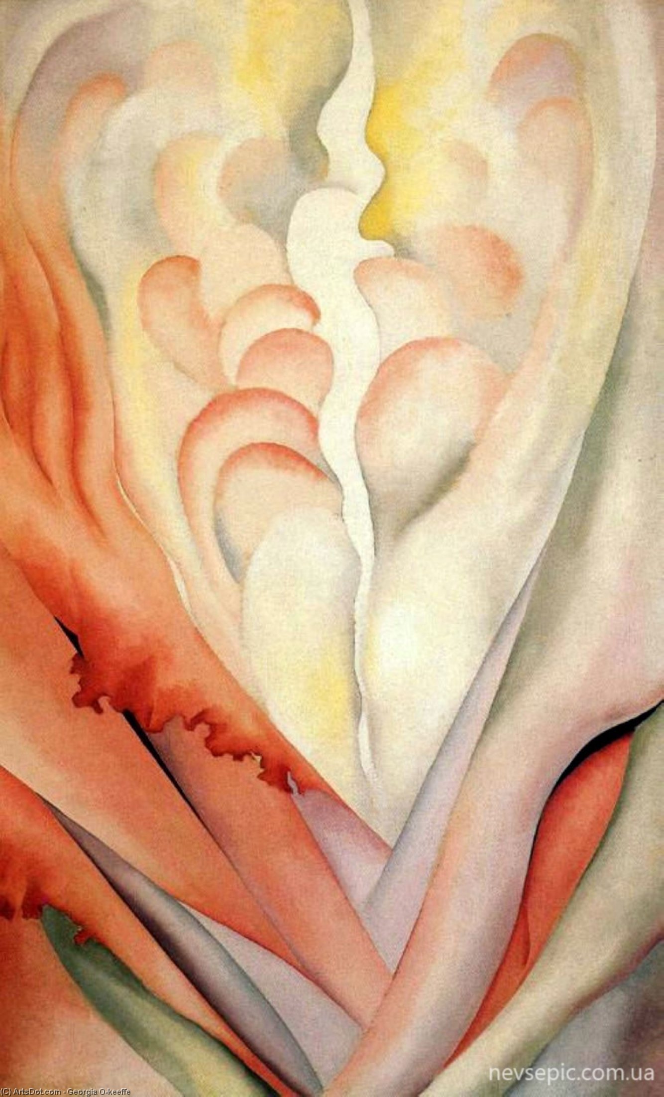 WikiOO.org - Enciclopédia das Belas Artes - Pintura, Arte por Georgia Totto O'keeffe - Flower Abstraction