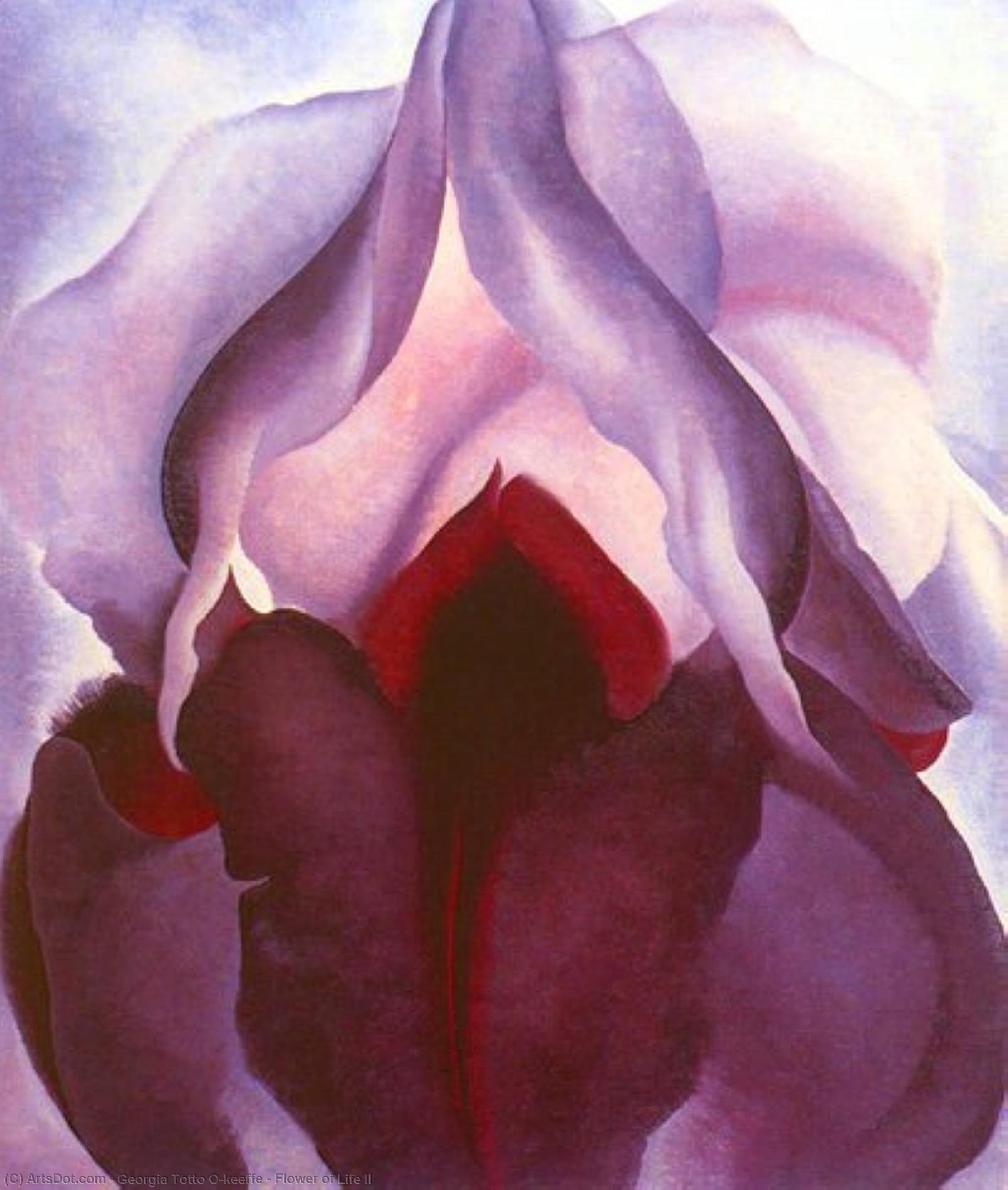 Wikioo.org – La Enciclopedia de las Bellas Artes - Pintura, Obras de arte de Georgia Totto O'keeffe - Flor de la Vida II