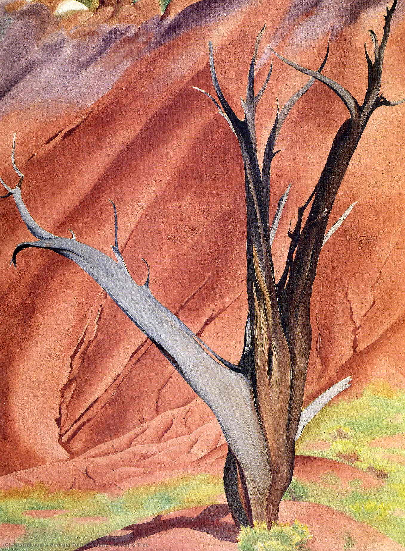 WikiOO.org - Encyclopedia of Fine Arts - Maľba, Artwork Georgia Totto O'keeffe - Gerald`s Tree