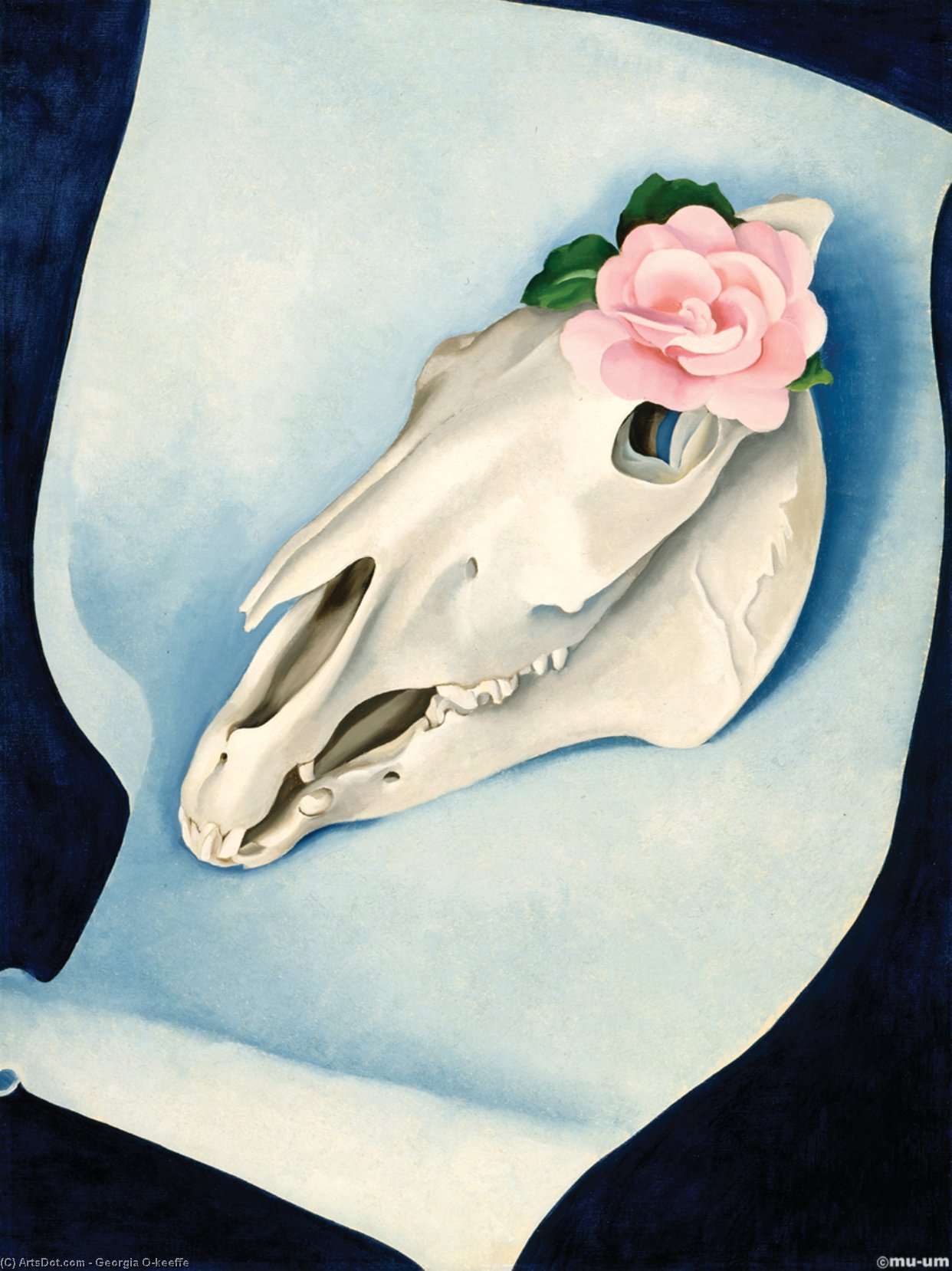WikiOO.org - Енциклопедия за изящни изкуства - Живопис, Произведения на изкуството Georgia Totto O'keeffe - Horse’s Skull with Pink Rose