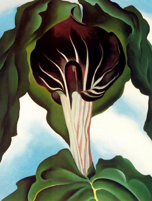 Wikioo.org - The Encyclopedia of Fine Arts - Painting, Artwork by Georgia Totto O'keeffe - Jack in the Pulpit III