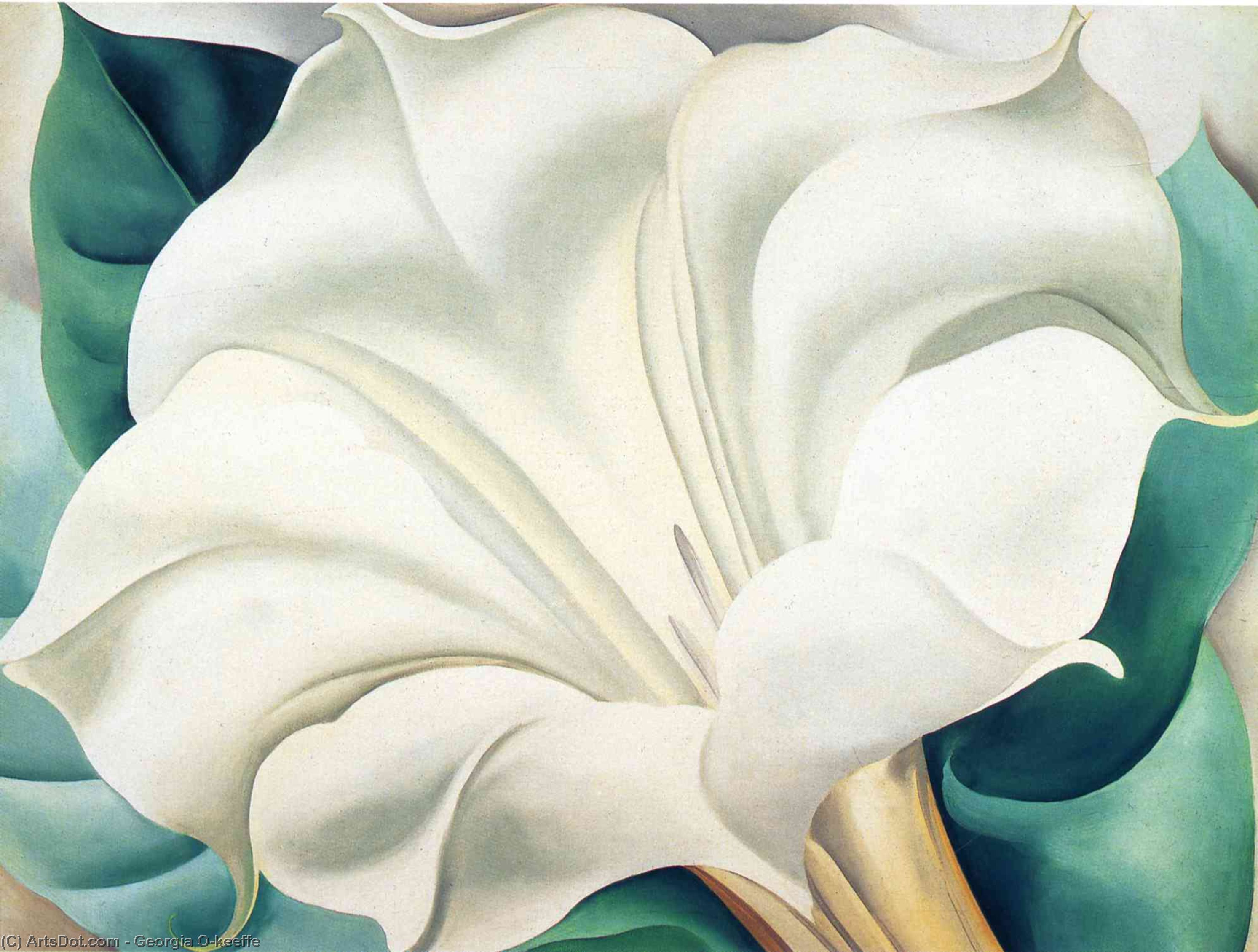 Wikioo.org - The Encyclopedia of Fine Arts - Painting, Artwork by Georgia Totto O'keeffe - Jimson Weed 2
