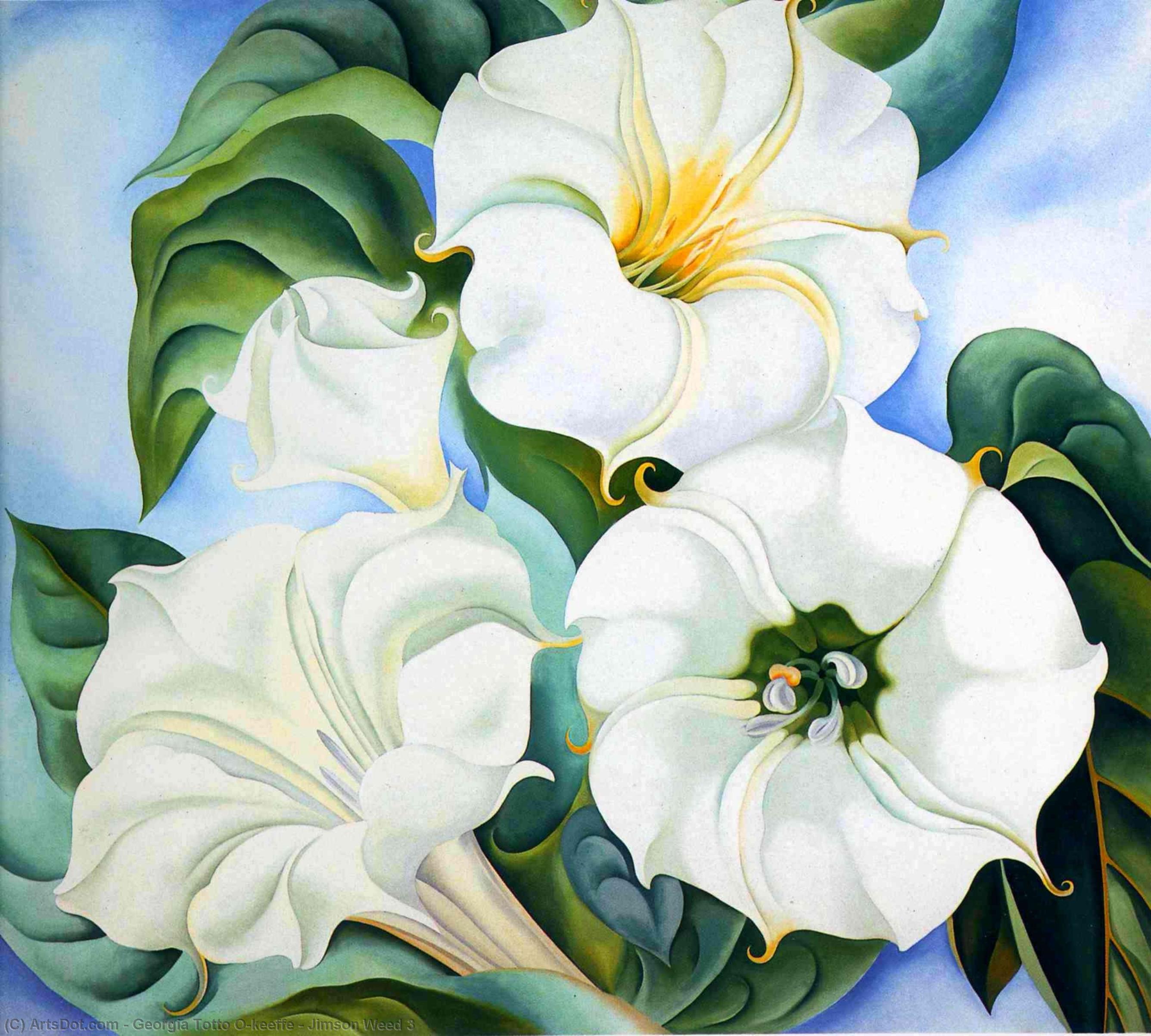 WikiOO.org - Εγκυκλοπαίδεια Καλών Τεχνών - Ζωγραφική, έργα τέχνης Georgia Totto O'keeffe - Jimson Weed 3