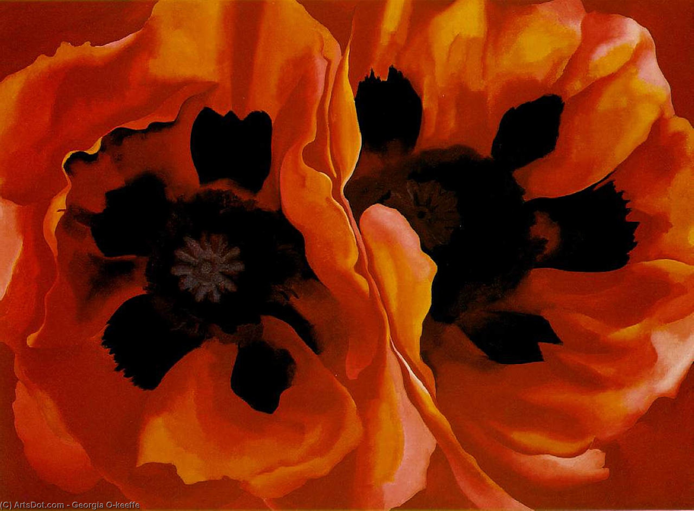 WikiOO.org - Енциклопедия за изящни изкуства - Живопис, Произведения на изкуството Georgia Totto O'keeffe - Oriental Poppies