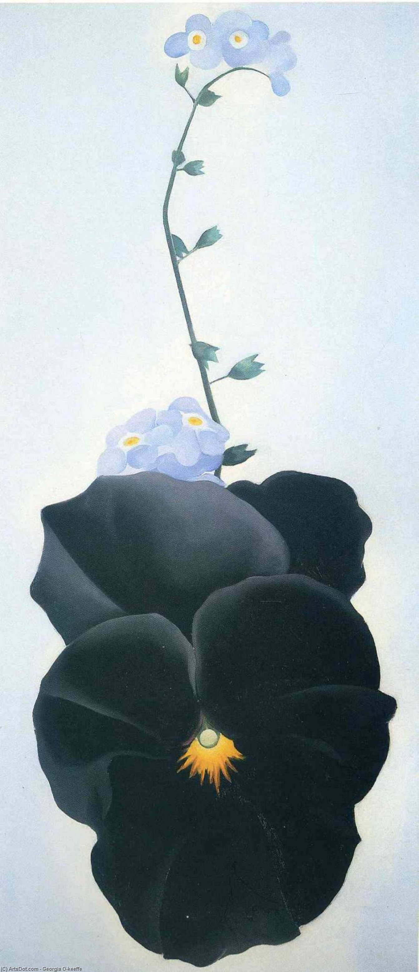 Wikioo.org - The Encyclopedia of Fine Arts - Painting, Artwork by Georgia Totto O'keeffe - Pansy