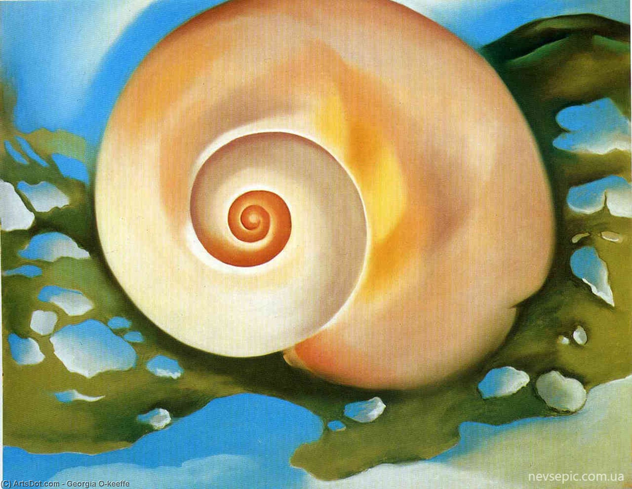 WikiOO.org - Encyclopedia of Fine Arts - Maľba, Artwork Georgia Totto O'keeffe - Pink Shell with Seaweed