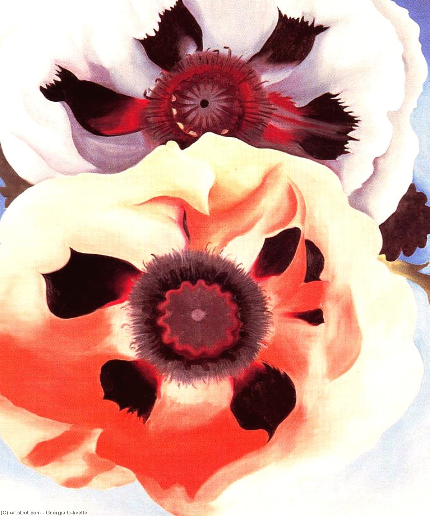 WikiOO.org - Encyclopedia of Fine Arts - Maľba, Artwork Georgia Totto O'keeffe - Poppies