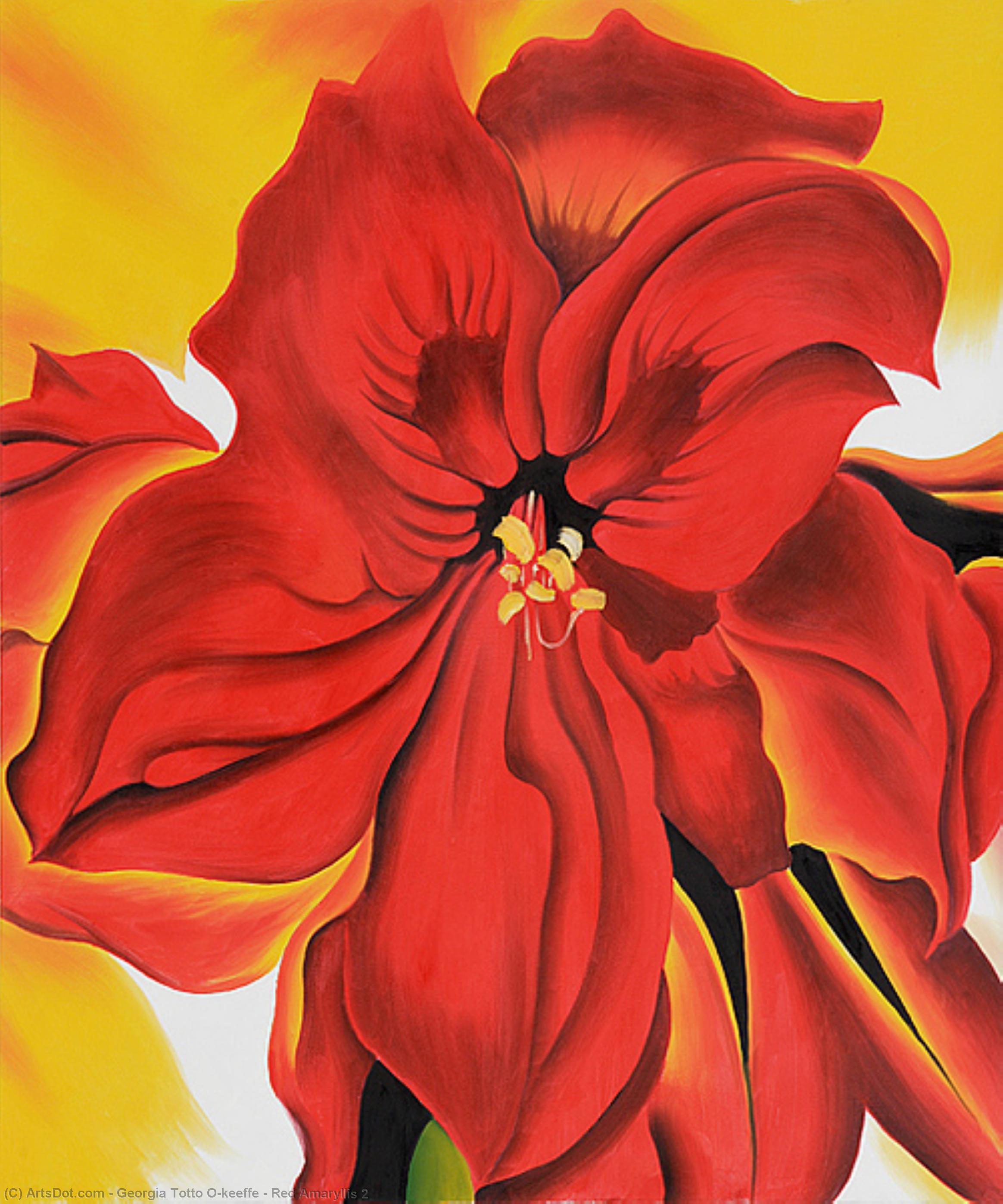 Wikoo.org - موسوعة الفنون الجميلة - اللوحة، العمل الفني Georgia Totto O'keeffe - Red Amaryllis 2