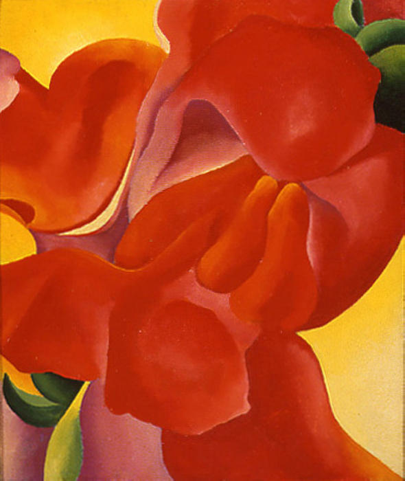 WikiOO.org - Encyclopedia of Fine Arts - Målning, konstverk Georgia Totto O'keeffe - Red Canna