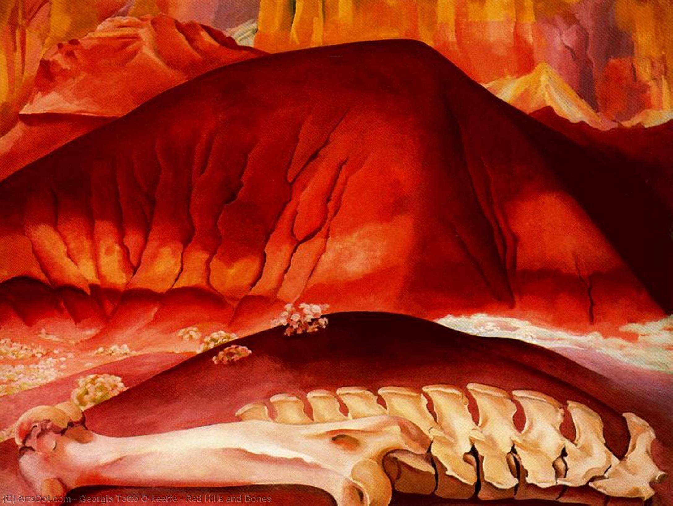 Wikioo.org - The Encyclopedia of Fine Arts - Painting, Artwork by Georgia Totto O'keeffe - Red Hills and Bones
