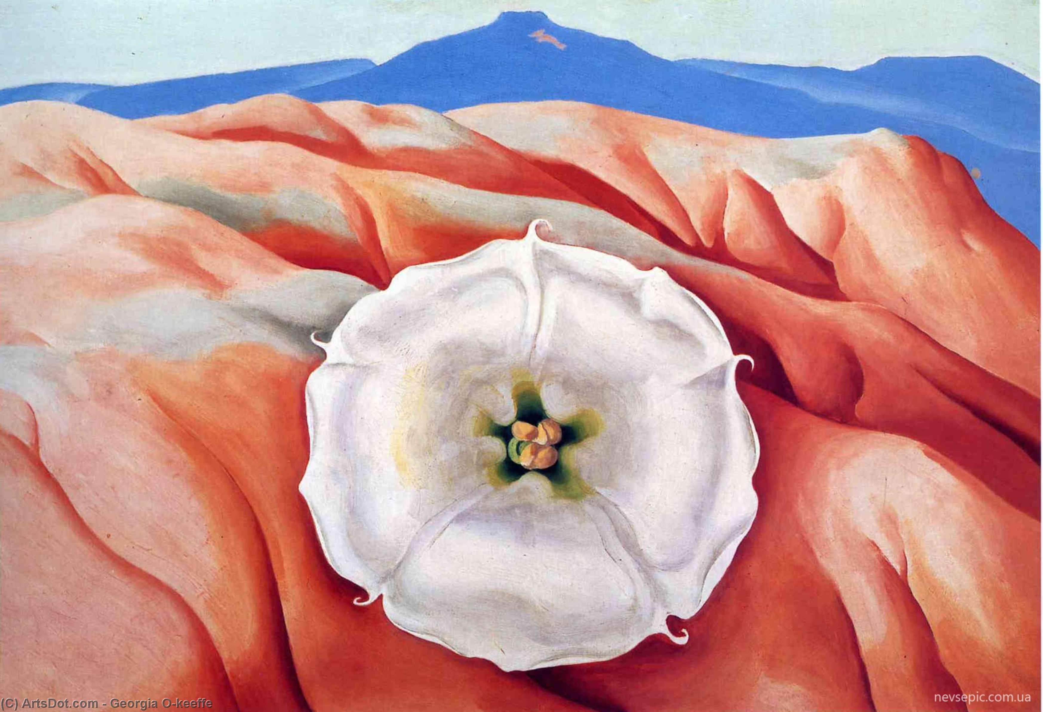 Wikioo.org - The Encyclopedia of Fine Arts - Painting, Artwork by Georgia Totto O'keeffe - Red hills and white flower II