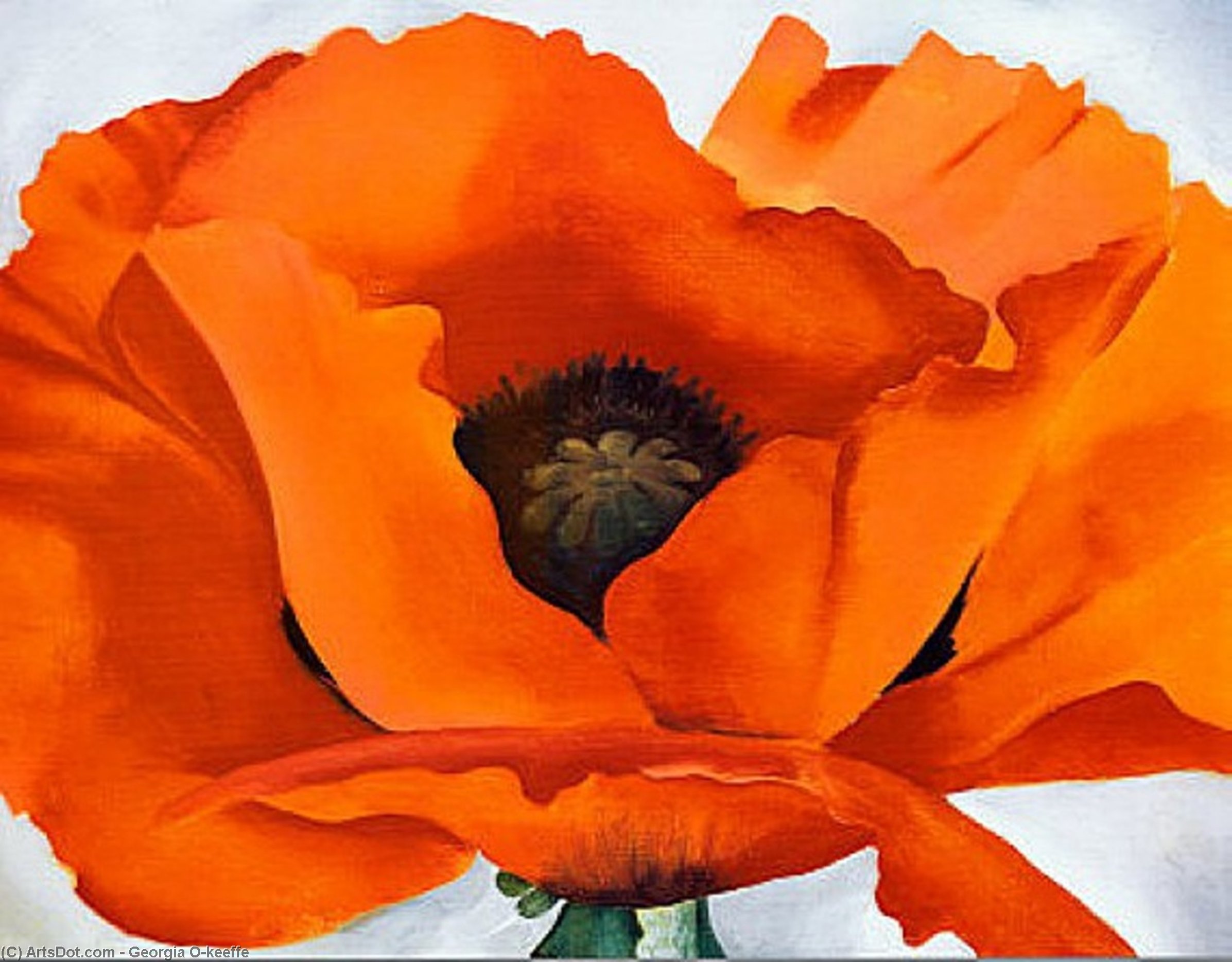 WikiOO.org - Encyclopedia of Fine Arts - Maľba, Artwork Georgia Totto O'keeffe - Red Poppy