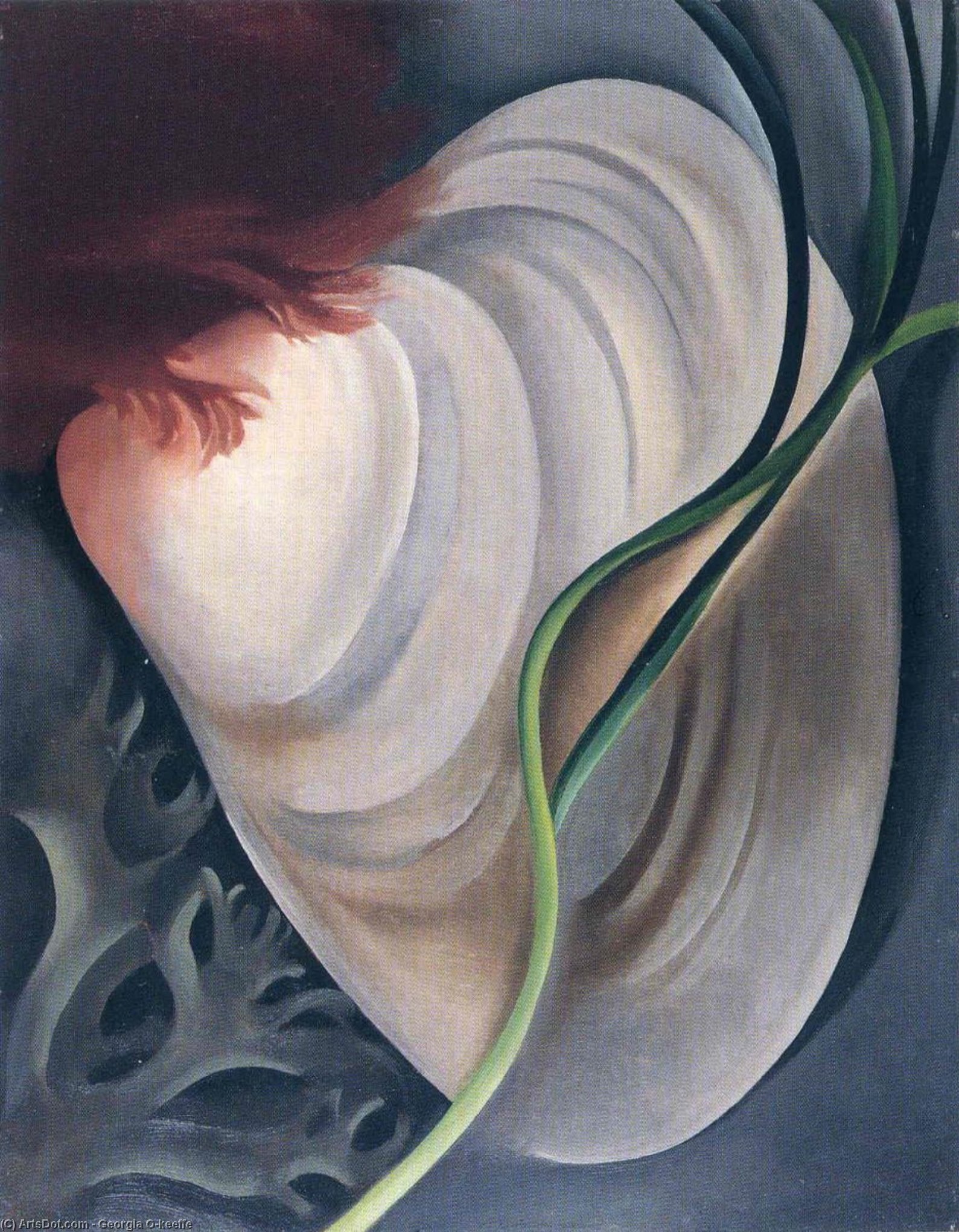 WikiOO.org - Енциклопедия за изящни изкуства - Живопис, Произведения на изкуството Georgia Totto O'keeffe - Shell No 2