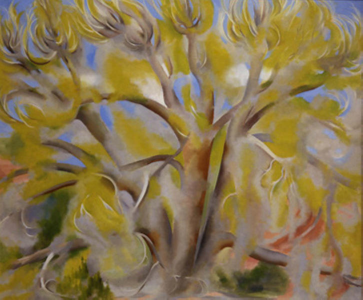WikiOO.org - Encyclopedia of Fine Arts - Maľba, Artwork Georgia Totto O'keeffe - Spring Tree No. 1