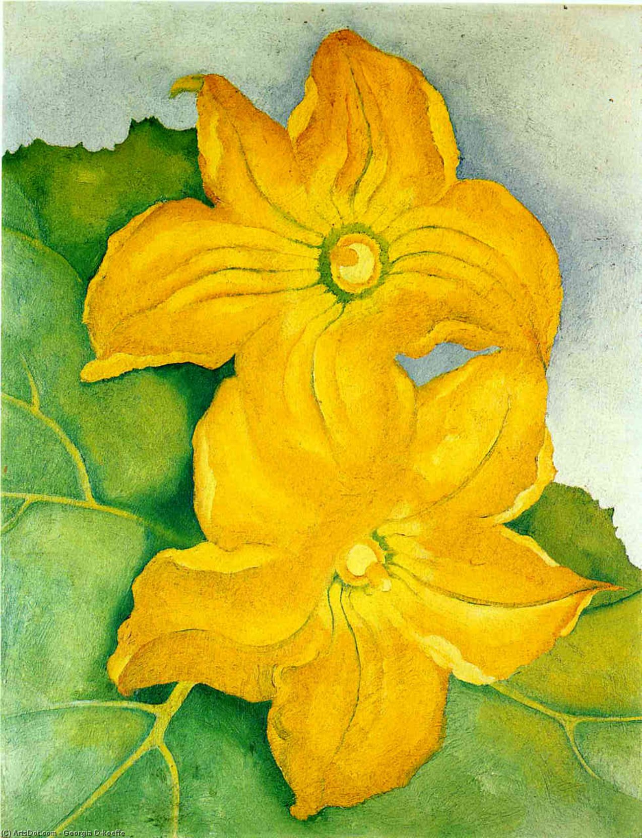 WikiOO.org - Енциклопедия за изящни изкуства - Живопис, Произведения на изкуството Georgia Totto O'keeffe - Squash Blossoms I