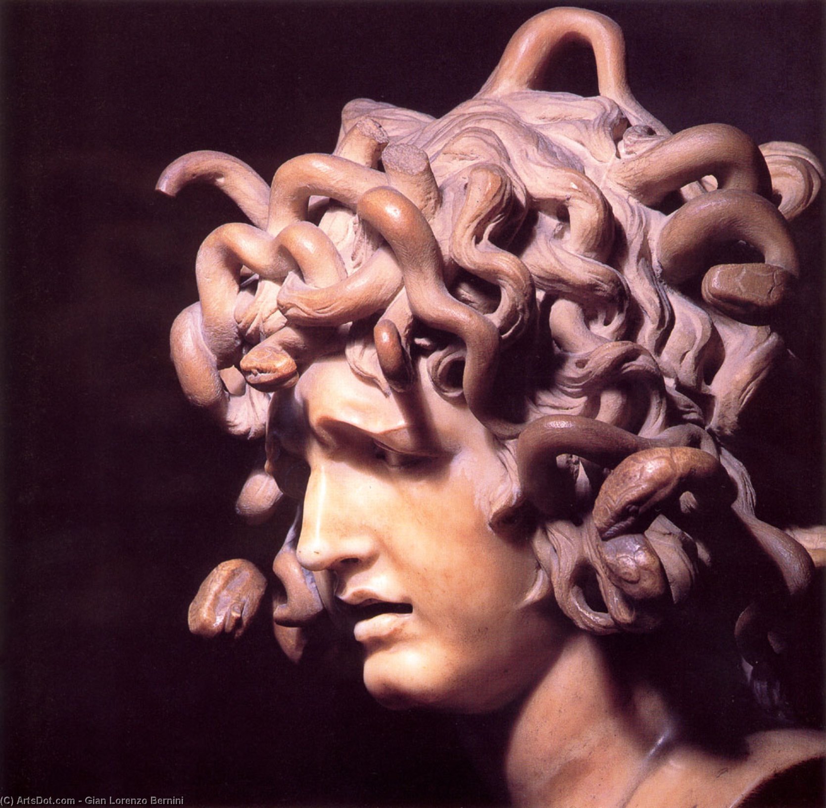 Wikioo.org - The Encyclopedia of Fine Arts - Painting, Artwork by Gian Lorenzo Bernini - Medusa