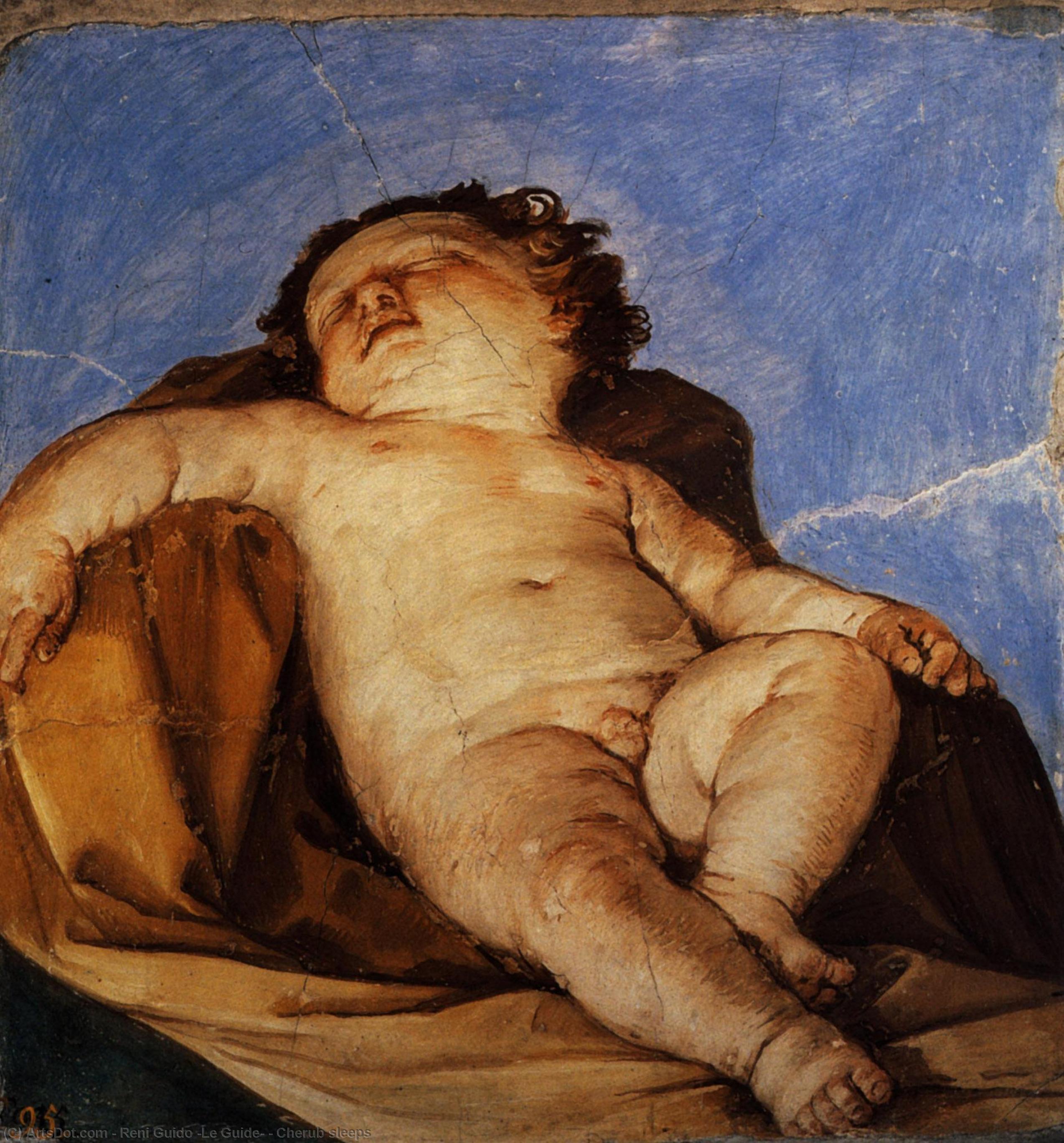 Wikioo.org – La Enciclopedia de las Bellas Artes - Pintura, Obras de arte de Reni Guido (Le Guide) - Querubín duerme