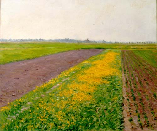 Wikoo.org - موسوعة الفنون الجميلة - اللوحة، العمل الفني Gustave Caillebotte - Plain of Gennevilliers