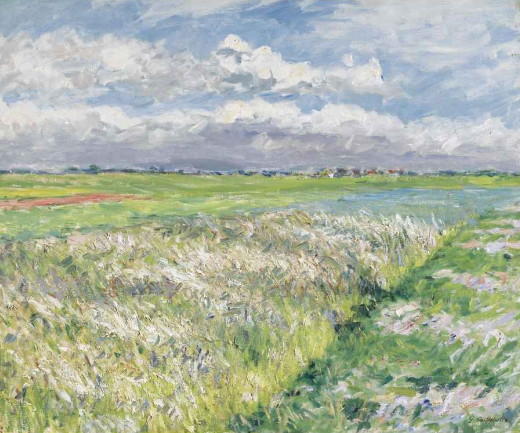 Wikioo.org - The Encyclopedia of Fine Arts - Painting, Artwork by Gustave Caillebotte - Fields, Plain of Gennevilliers