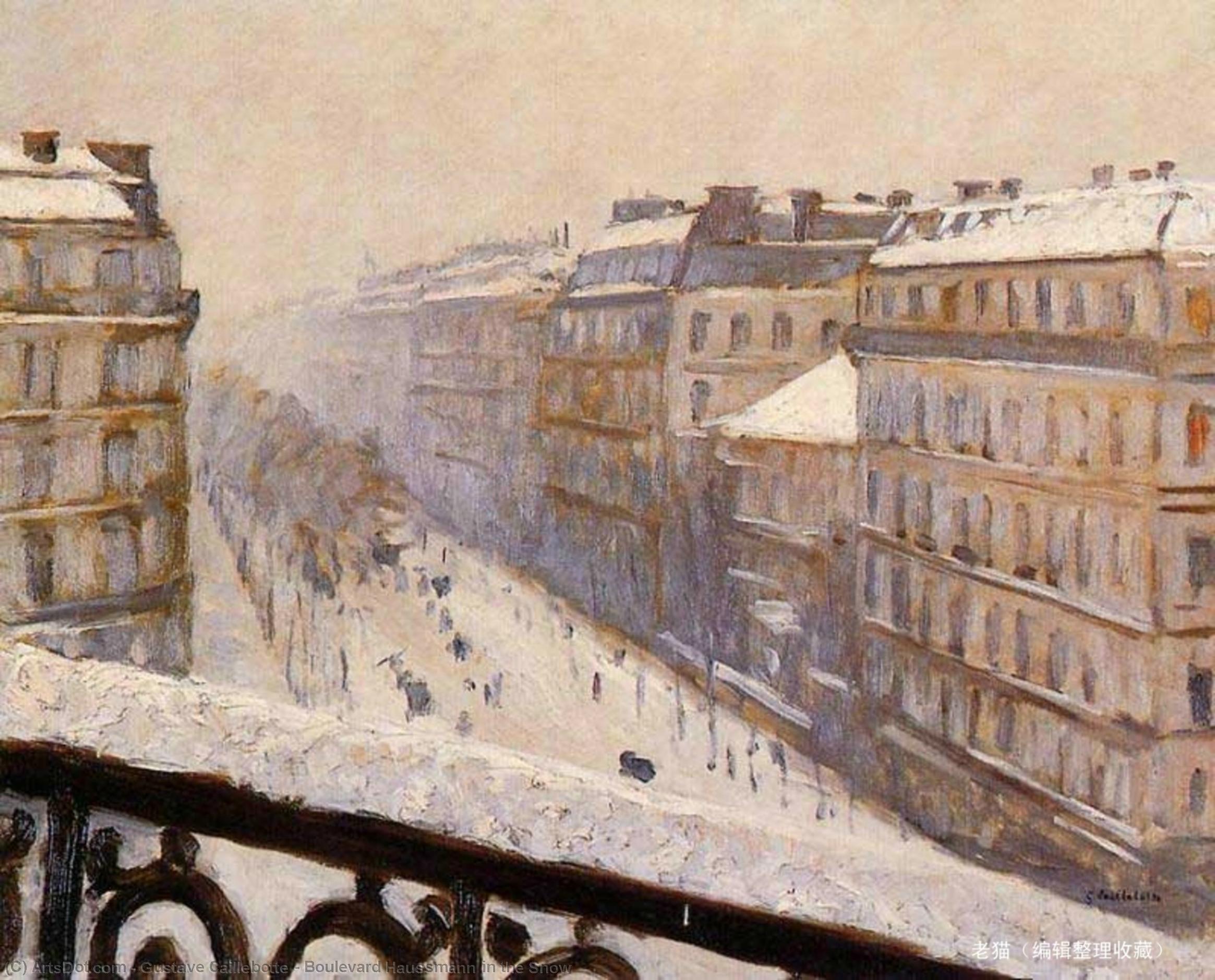 Wikioo.org - The Encyclopedia of Fine Arts - Painting, Artwork by Gustave Caillebotte - Boulevard Haussmann in the Snow