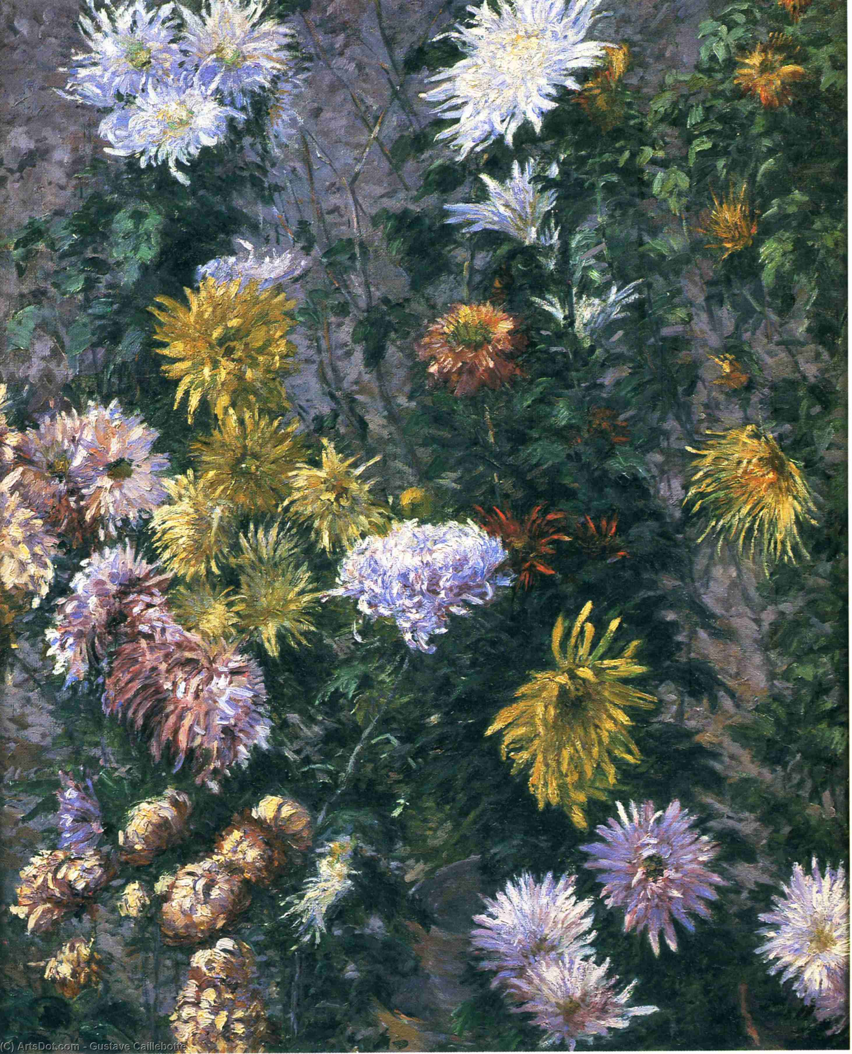 Wikioo.org - The Encyclopedia of Fine Arts - Painting, Artwork by Gustave Caillebotte - White and Yellow Chrysanthemums