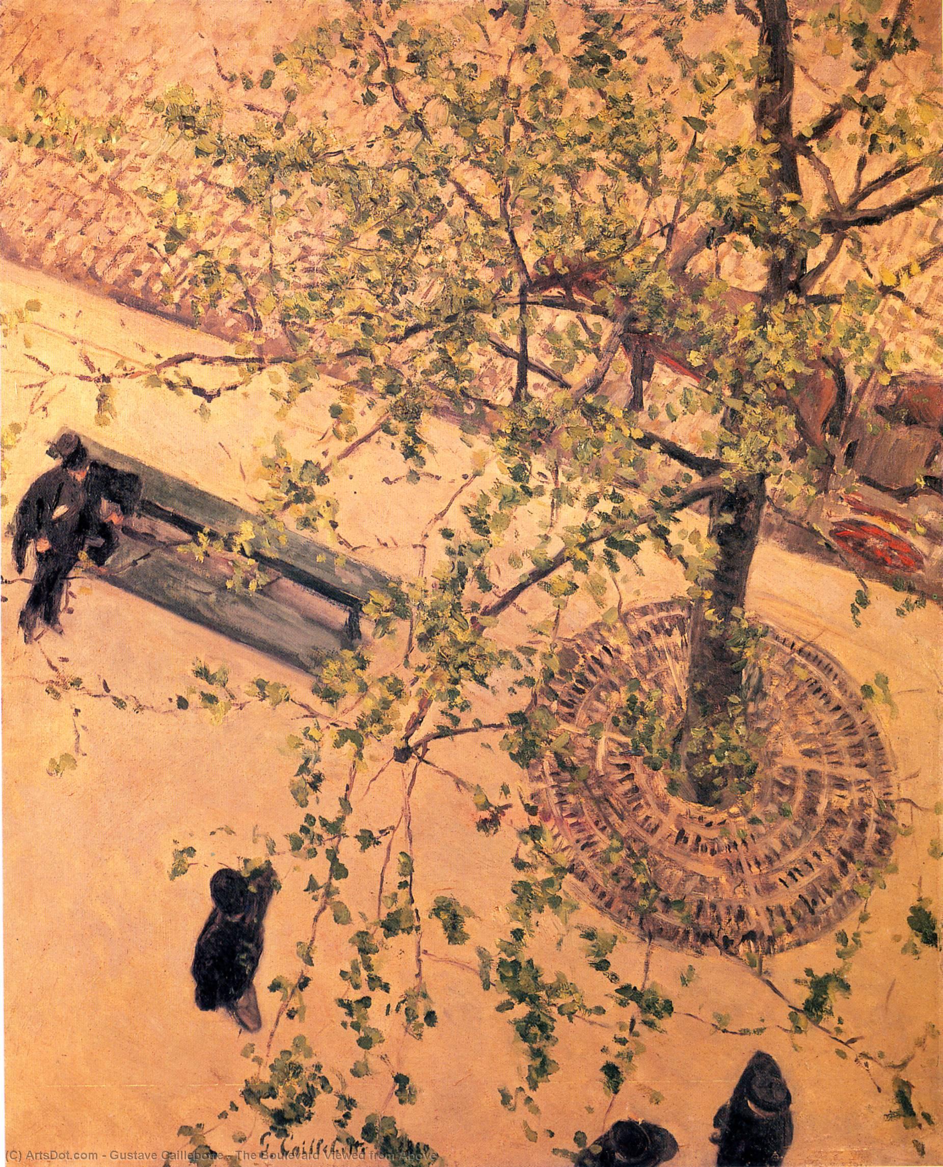 Wikioo.org - The Encyclopedia of Fine Arts - Painting, Artwork by Gustave Caillebotte - The Boulevard Viewed from Above