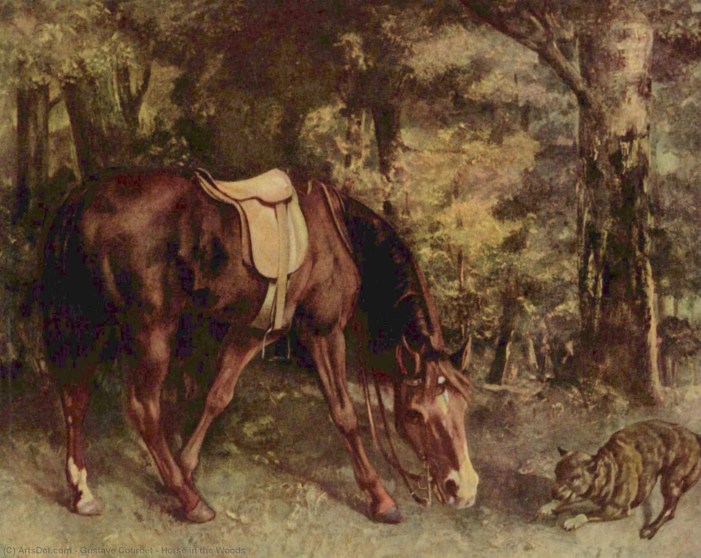 WikiOO.org – 美術百科全書 - 繪畫，作品 Gustave Courbet - 马 在  的  伍兹